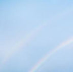 NEVER ENOUGH - Vinilo