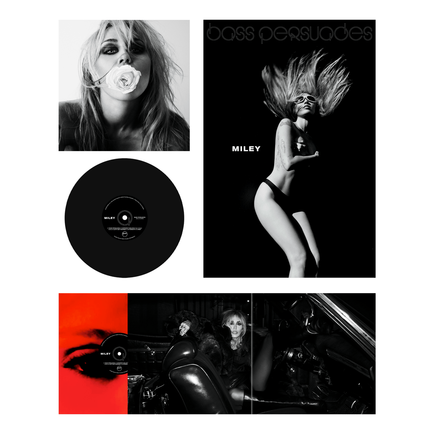 Bass Persuades - Vinilo