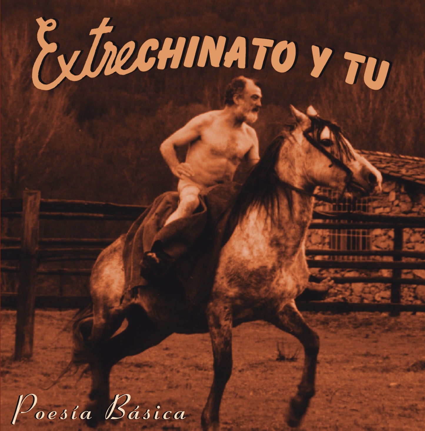 Poesía Básica - Vinilo