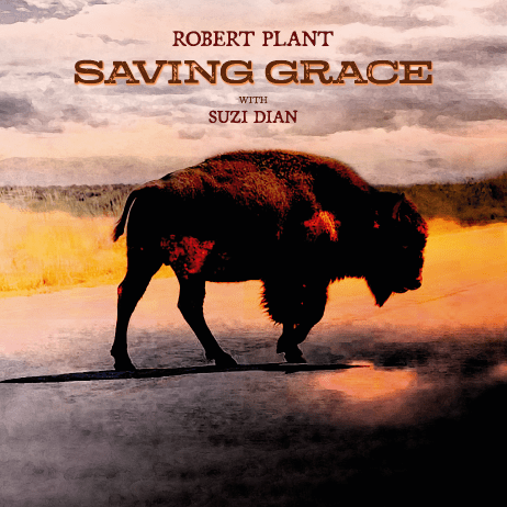Saving Grace - Vinilo