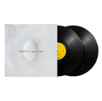 A Ghost Is Born - 2 Vinilos