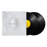 A Ghost Is Born - 2 Vinilos
