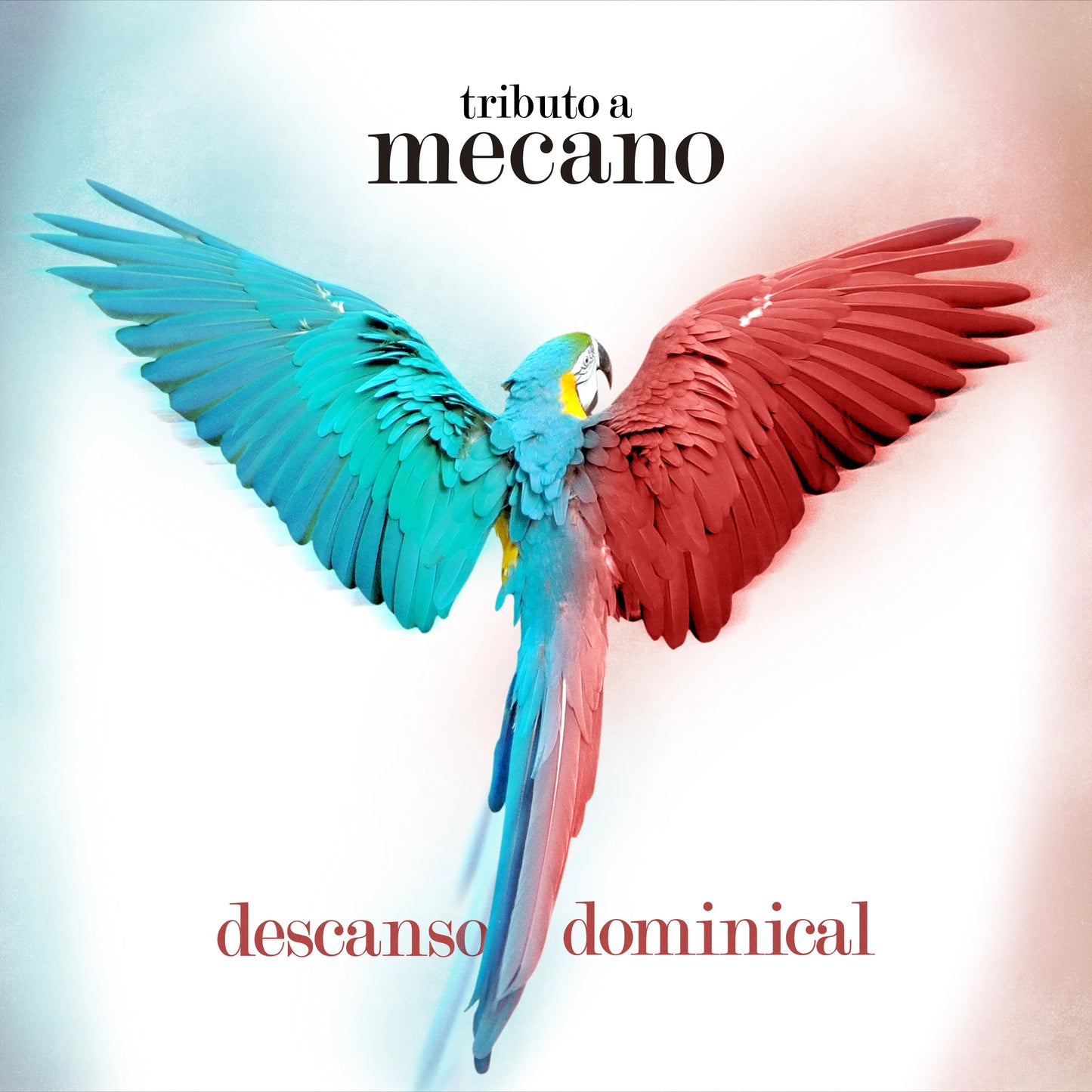 Descanso Dominical Tributo A Mecano - Vinilo