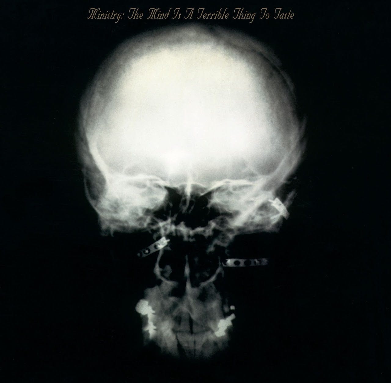 The Mind Is A Terrible Thing To Taste - Vinilo Doble