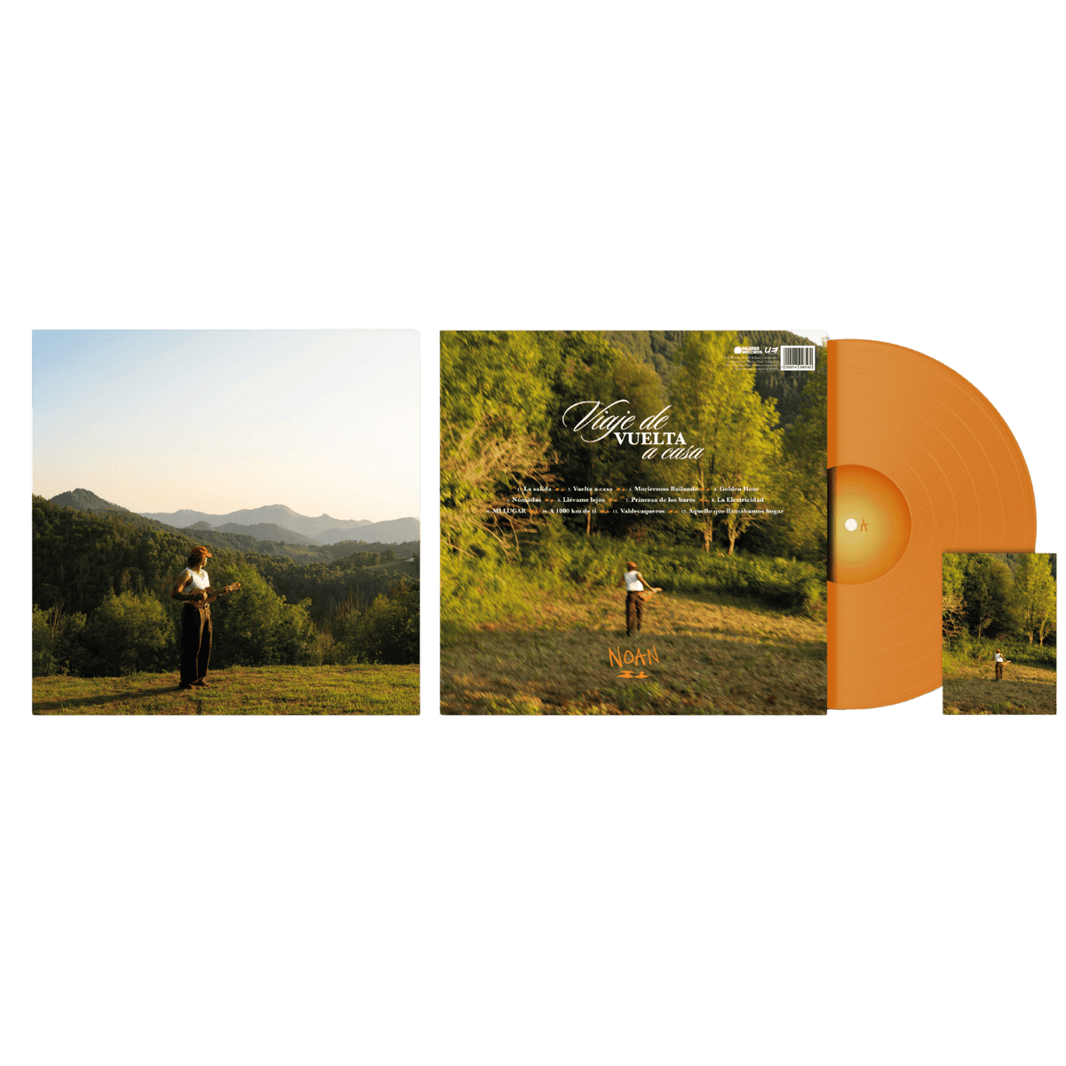 Viaje de vuelta a casa - Vinilo Color + Postal Firmada