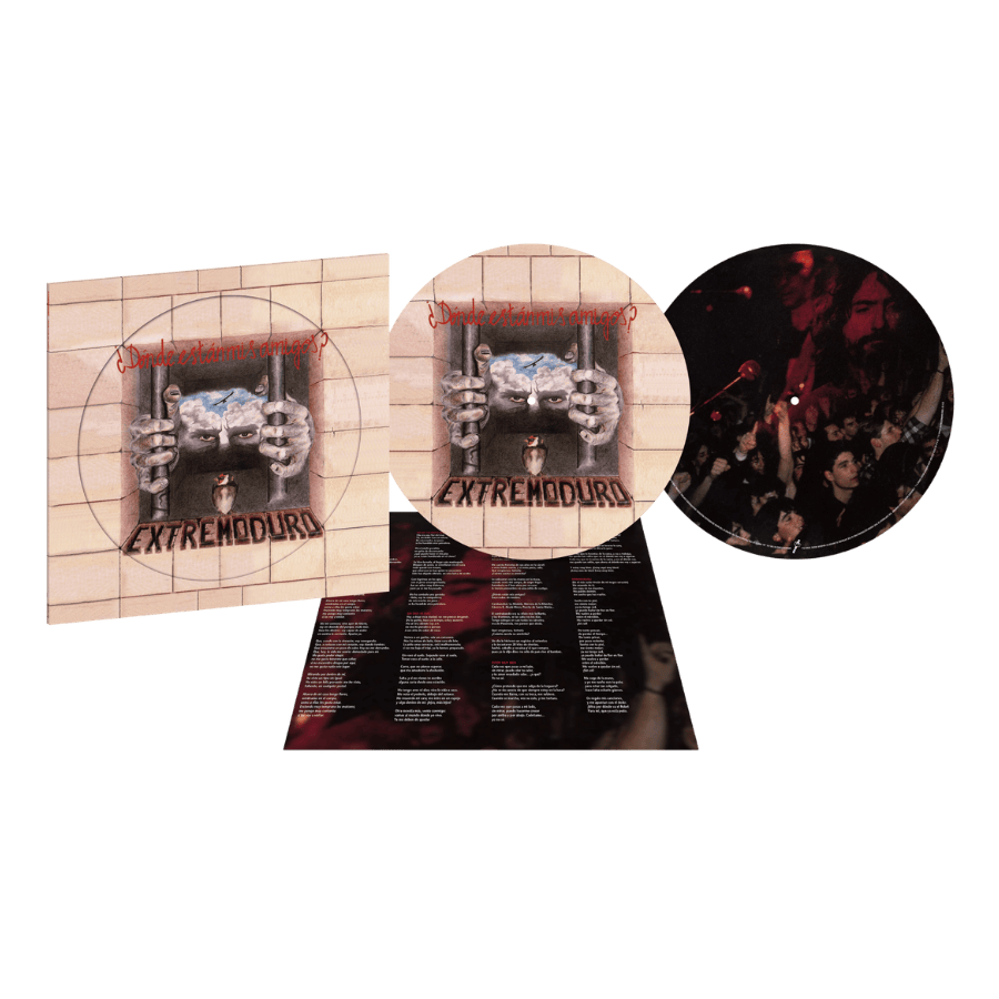 ¿Dónde Están Mis Amigos? - Vinilo Picture Disc (Ed. Limitada)