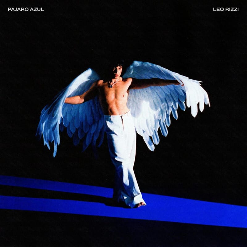 Pájaro Azul - Vinilo